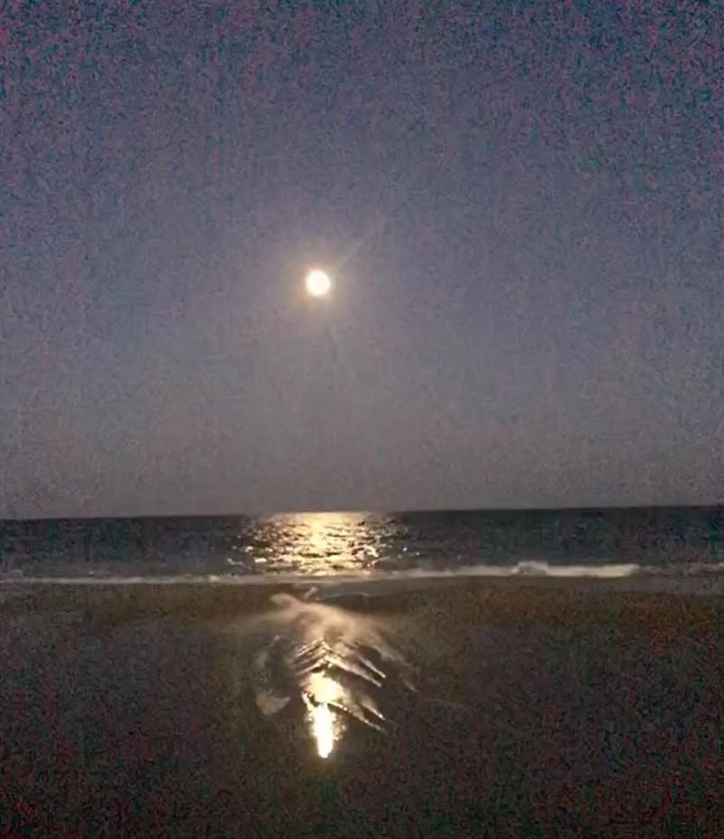 默特尔比奇2501 S Ocean Blvd, 0811 - Ocean Front Sleeps 6别墅 外观 照片